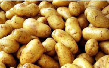If you eat boiled potatoes daily, these changes will start appearing in your health!