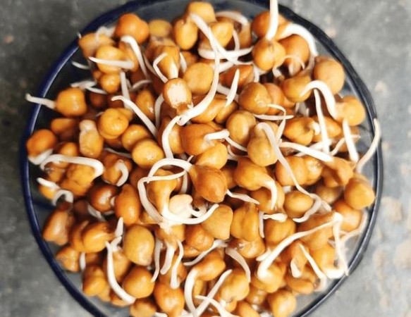 Roasted or Soaked Chickpeas: Which is More Beneficial for Health? Expert Opinions