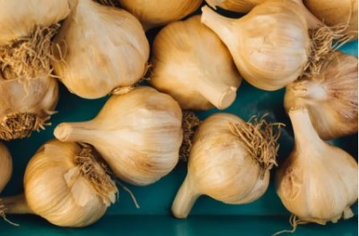 Eating too much garlic can spoil your health, know how much should you eat in a day?
