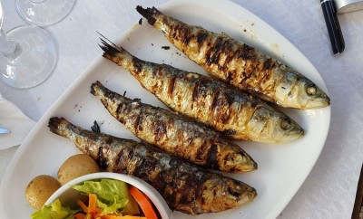 Are There Health Benefits to Incorporating Sardines into Your Diet?