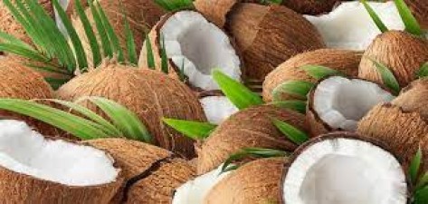 जानिए सर्दियों में कच्चा नारियल खाने के अद्भुत फायदे, दिमाग बनेगा मजबूत, चमकेगी  त्वचा