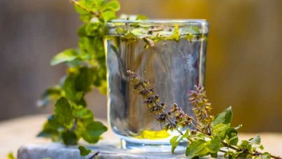 Power of Tulsi Water: 7 Health Benefits of Taking it on Empty Stomach