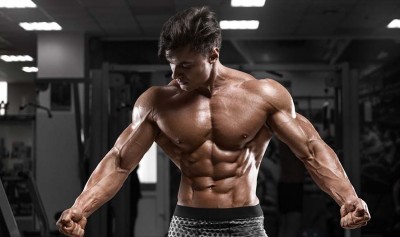 First Steroid Cycle for Bodybuilders Just Starting Out: Best Steroids for Beginners