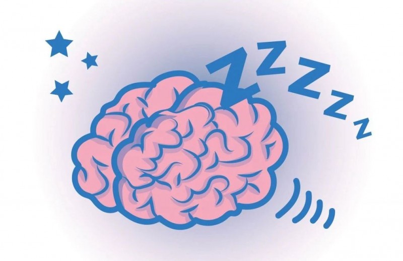 the-brain-is-more-active-at-night-than-during-the-day-newstrack-english-1