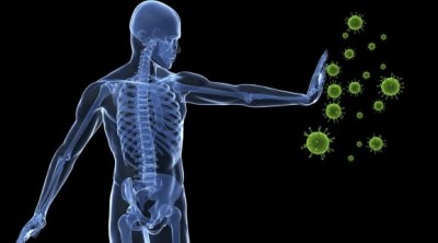 The Link Between Gut Health and Immunity: Understanding Your Microbiome