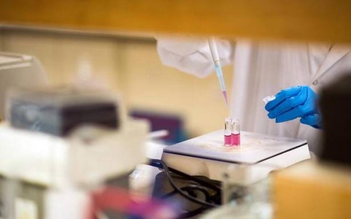Biocon Biologics expands its COVID portfolio with the addition of a novel antibody.