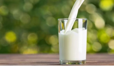 World Milk Day: The Health Benefits of Milk, An Overview