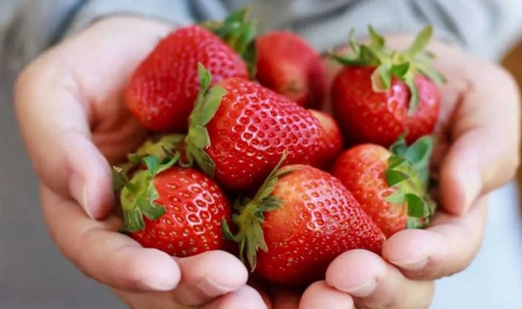 National Strawberry-Rhubarb Pie Day: Health Benefits of Strawberries