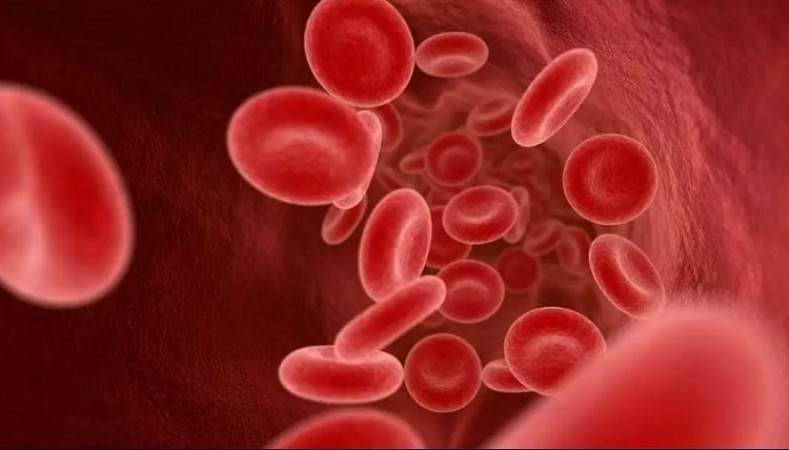 FDA Approves Groundbreaking Gene Therapies for Sickle Cell Disease Treatment