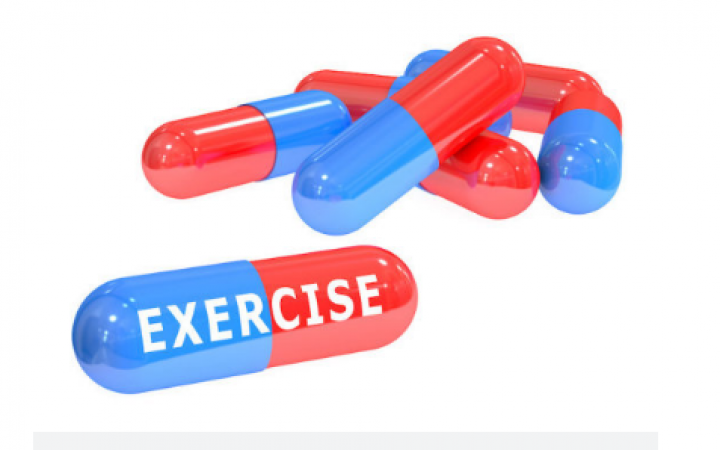 Researchers close to Inducing the benefits of Exercise in a Pill