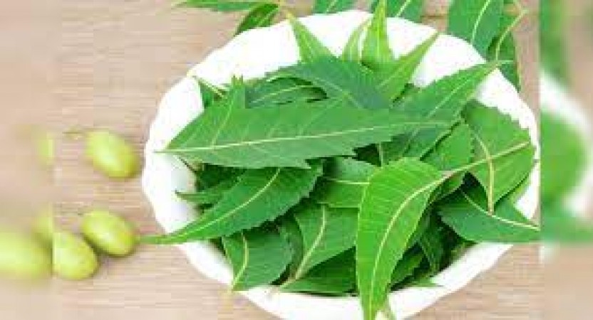 Know the miraculous benefits of neem leaves