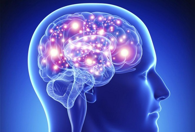 अध्ययन से पता चलता है कि डोपामाइन का स्तर मस्तिष्क में इंसुलिन से प्रभावित होता है