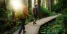 How Morning Walks Transform Your Health: Know The  Benefits of Starting Your Day with Walking