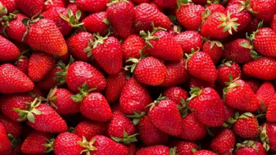 Enjoying Daily Strawberries in Youth Could Lower Dementia Risk in Later Life