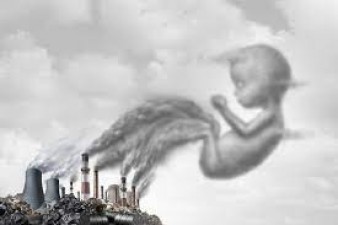 प्रदूषण के कारण 'मिनी लॉकडाउन' जैसे हालात, डॉक्टर ने कहा- भ्रूण और बच्चों के लिए 'जहरीला' है यह वातावरण
