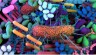 Antibiotic-resistant microbes in Gut make 