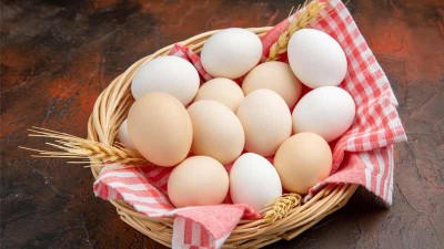 खाली पेट के लिए क्या है बेस्ट अंडे या नट्स?