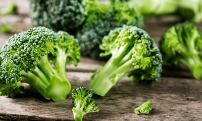 How to Harness the Health Benefits of Broccoli for a Vibrant Lifestyle