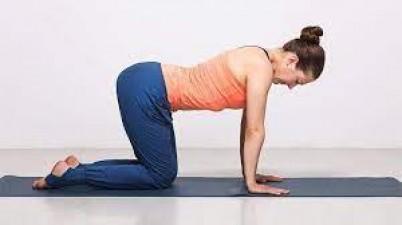 Yoga Tips: आप भी कर सकते हैं ये चार योगासन, इससे आपके शरीर को होता है फायदा