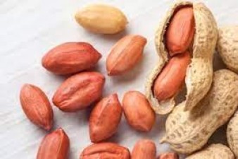 Can eating peanuts increase the risk of diabetes, know what experts say