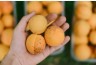 Do you know the benefits of eating apricots? If you eat this much every day, many diseases will stay away!