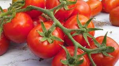 Eat tomatoes to reduce cholesterol