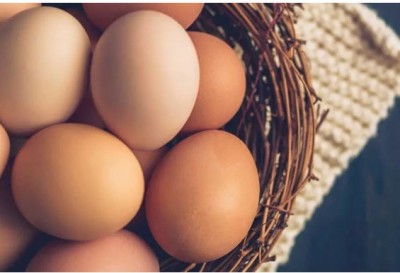 प्रोटीन का समृद्ध स्रोत अंडा देता है सेहत को गजब के फायदे, डाइट में जरूर करें शामिल