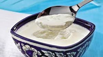 Is it harmful to eat curd every day, know what experts say