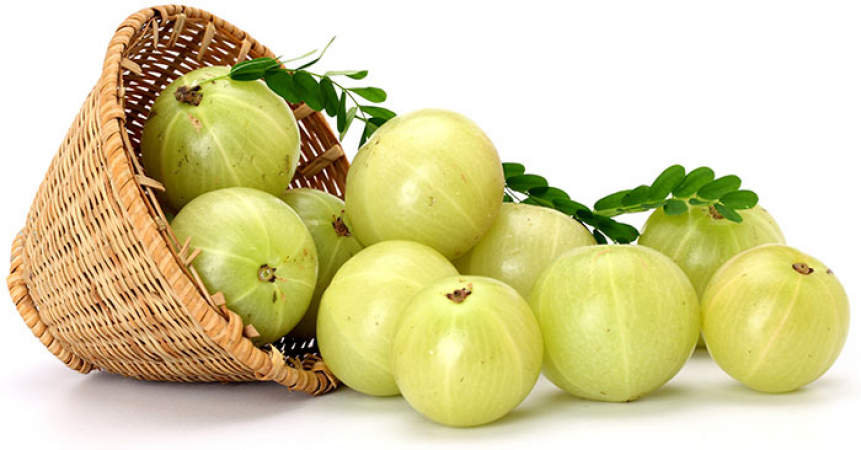 Benefits of Amla: This is the 1 berry can cure 100 diseases, know its 10 benefits