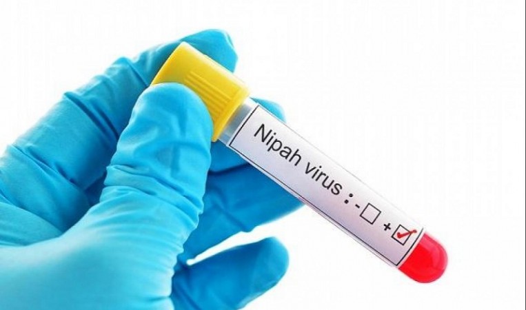Nipah virus Kerala: Samples of all symptomatic persons turn negative
