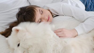 Sleeping with your pet in bed may affect sleep quality