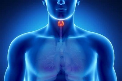 Thyroid Health: 7 Foods for Hypothyroidism