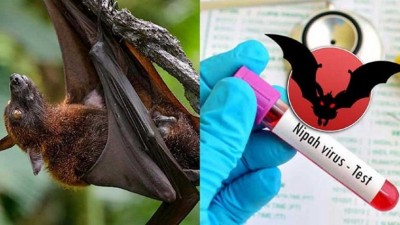 Kerala Nipah Alert: High-Level Meeting Called by Health Minister