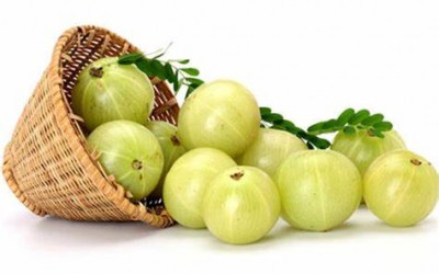 There are many benefits of eating Amla, include it in your diet