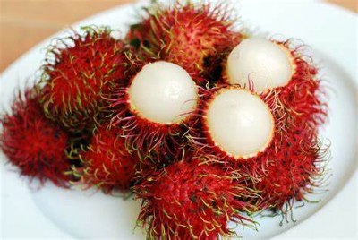 What is Rambutan fruit, what is its connection with Nipah virus, why is it being discussed?