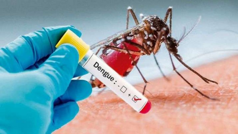 Dengue cases are increasing in Delhi NCR, this special advice for common people to avoid it