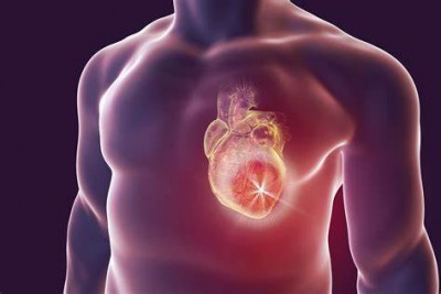 इस खास विटामिन की कमी से बढ़ रही हैं दिल की बीमारियां, एक छोटी सी गलती भी ले सकती है आपकी जान