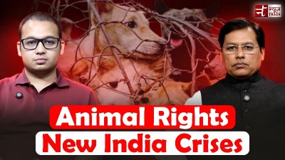 Better your petty ways for pets: Dr. Nanavati