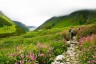 Valley of Flowers of Sikkim, where you will feel like visiting heaven