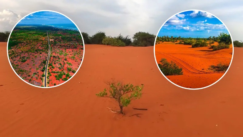 Theri Kaadu: Red sand desert of South India, standout destination for wanderlusts!