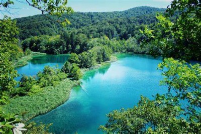 Top 5 Most Beautiful Freshwater Ecosystems in the World