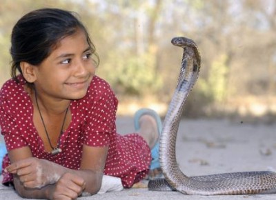 The Snake Village of India, People treat snake like a pet, kid plays with Cobra