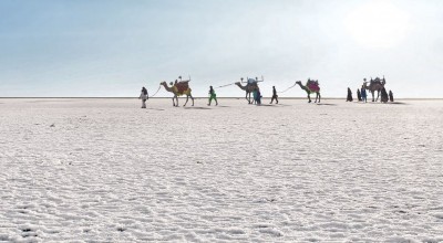 The Teaser of White Sands: Unraveling the Mystery of the Kutch Desert's Pale Sands