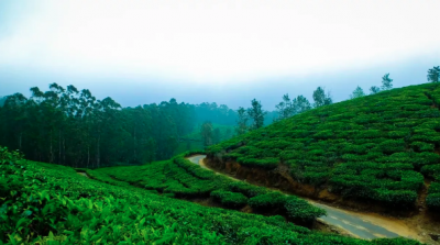 Haflong is such a beautiful hill station in Assam that is best for nature and adventure lovers