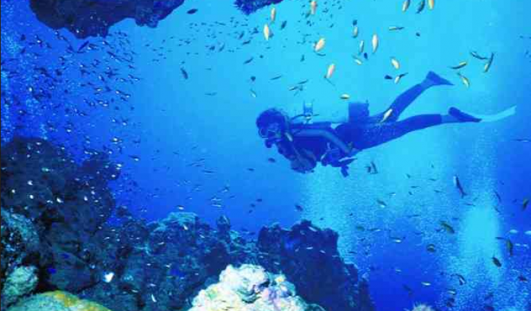 Bucket List: Locations To Go Scuba Diving In The World | NewsTrack ...