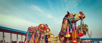 How much does it cost to visit the world famous Pushkar fair? Know when and how you can reach here