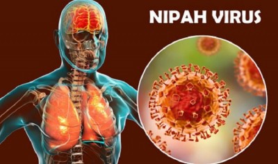 Nipah Alert in Kerala, Nipah Virus Precautions: Protecting Yourself and Others