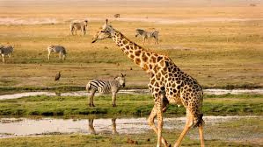 Africa’s most interesting national parks!!!