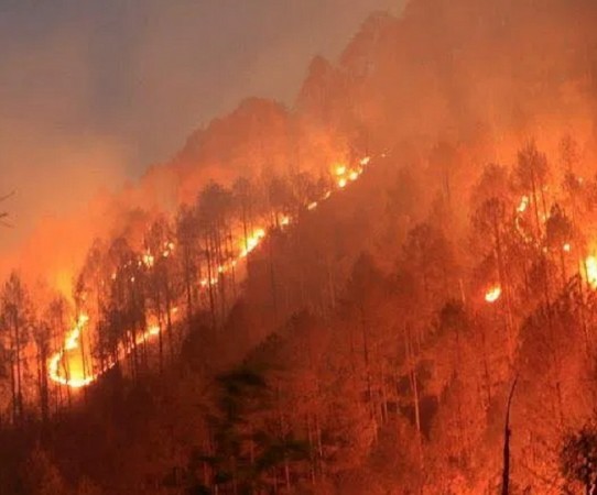 उत्तराखंड में नहीं थम रही आग, कई इलाकों में फैला खौफ