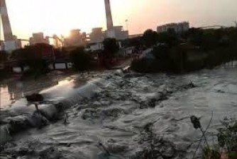 Tragic accident in Madhya Pradesh, fly ash dam of power plant breaks